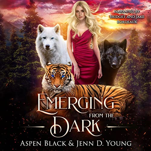 Cover of Emerging from the Dark