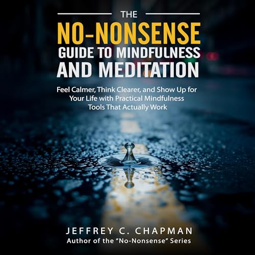 Cover of The No-Nonsense Guide to Mindfulness and Meditation