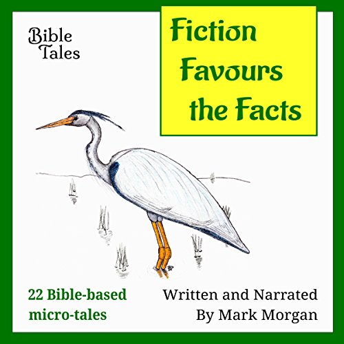 Cover of Fiction Favours the Facts: 22 Bible-based Micro-tales