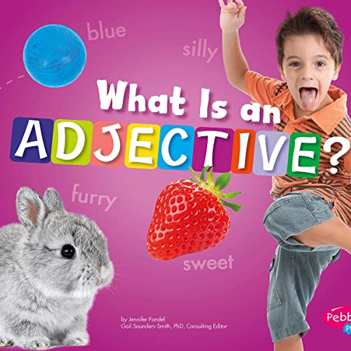 Cover of What Is an Adjective?