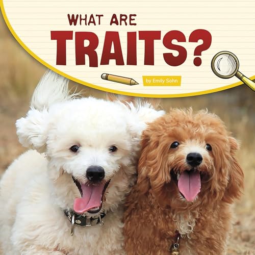 Cover of What Are Traits?