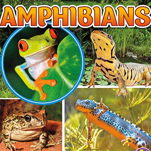 Cover of Amphibians