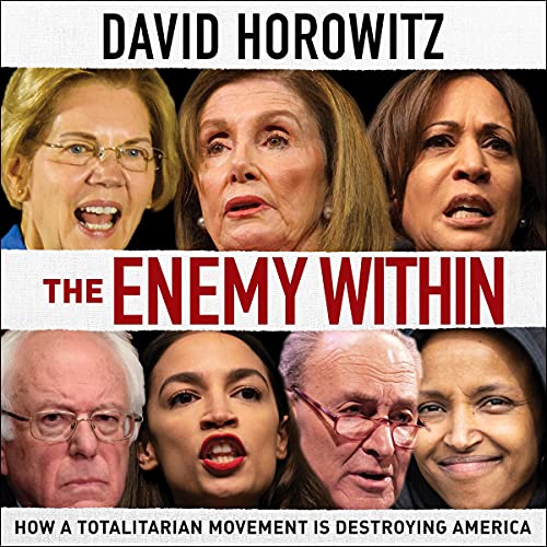Cover of The Enemy Within