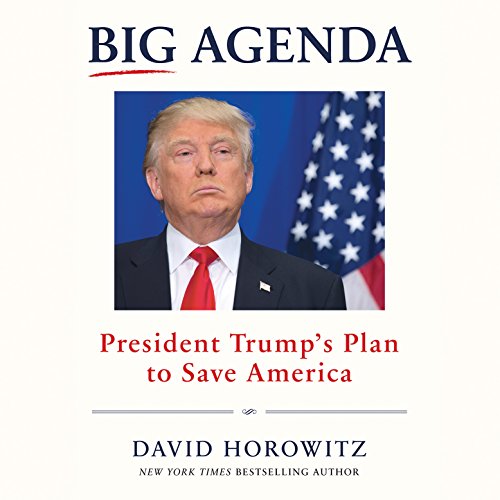 Cover of Big Agenda