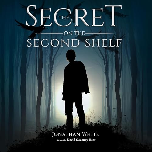 Cover of The Secret on the Second Shelf