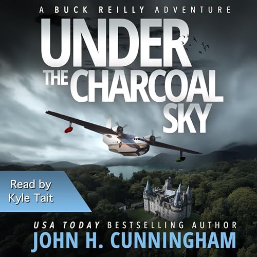 Cover of Under the Charcoal Sky