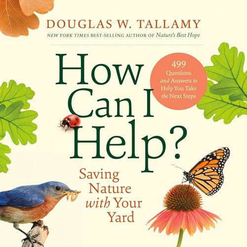 Cover of How Can I Help?