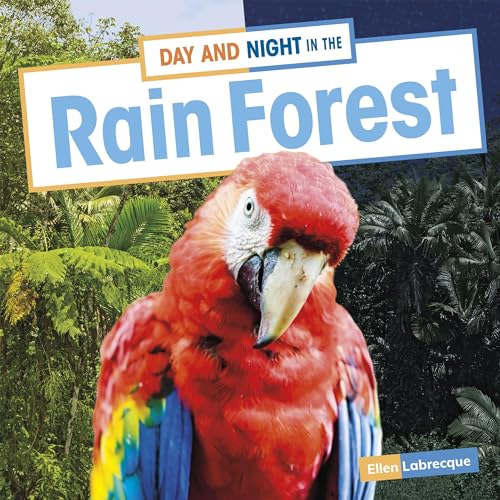 Cover of Day and Night in the Rain Forest