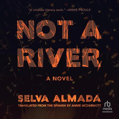 Cover of Not a River