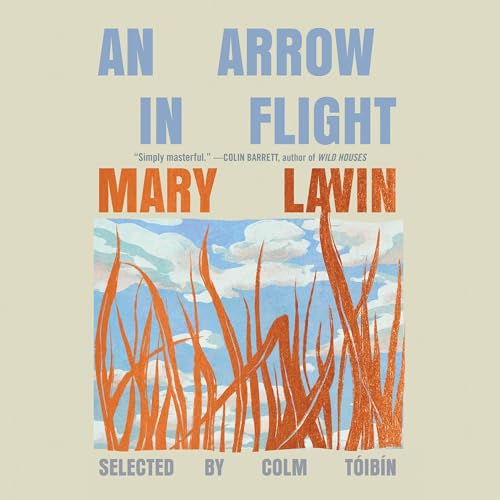 Cover of An Arrow in Flight