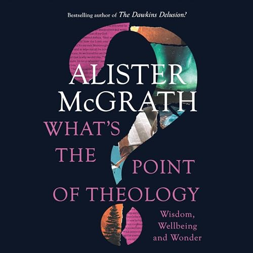 Cover of What's the Point of Theology?
