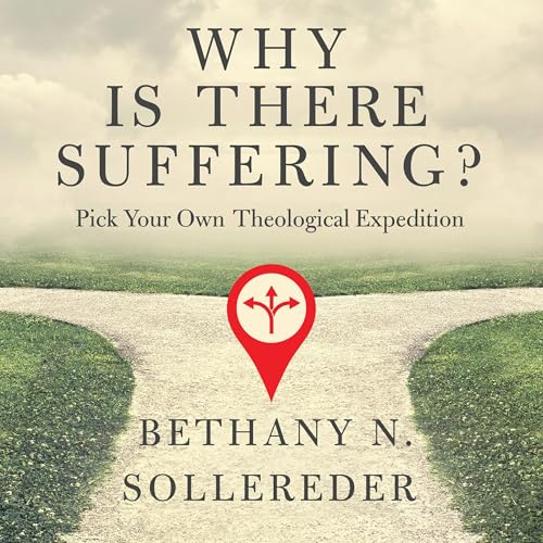 Cover of Why Is There Suffering?