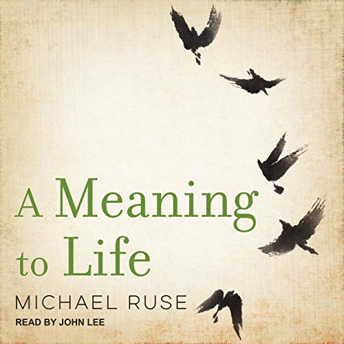 Cover of A Meaning to Life
