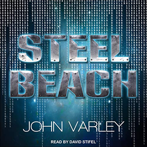 Cover of Steel Beach