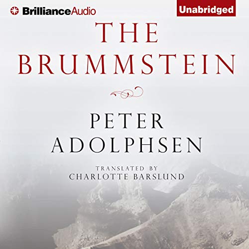 Cover of The Brummstein