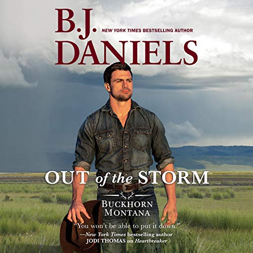 Cover of Out of the Storm