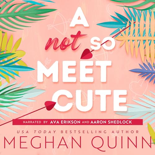 Cover of A Not So Meet Cute