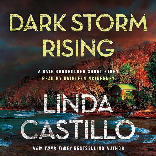 Cover of Dark Storm Rising
