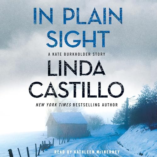 Cover of In Plain Sight