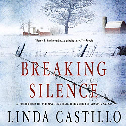 Cover of Breaking Silence