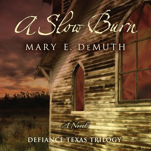Cover of A Slow Burn