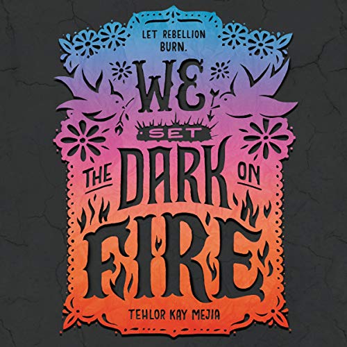 Cover of We Set the Dark on Fire