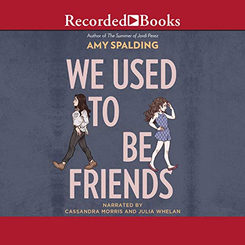Cover of We Used to Be Friends