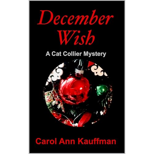 Cover of December Wish