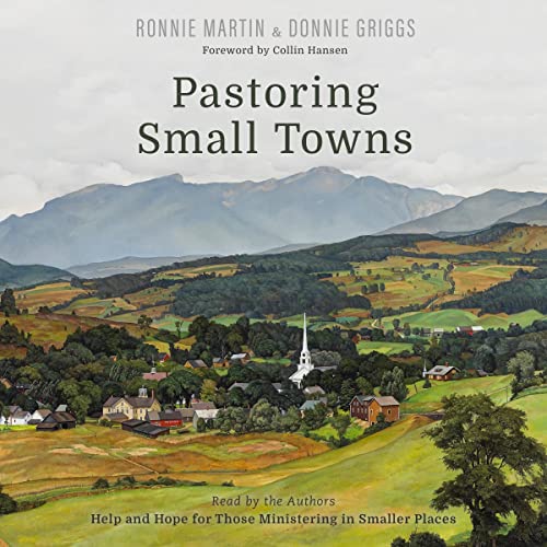 Cover of Pastoring Small Towns