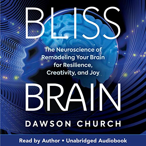 Cover of Bliss Brain
