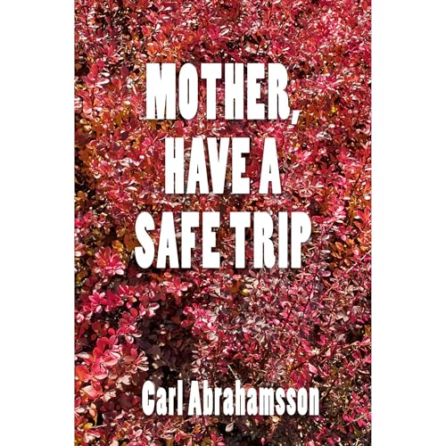 Cover of Mother, Have A Safe Trip