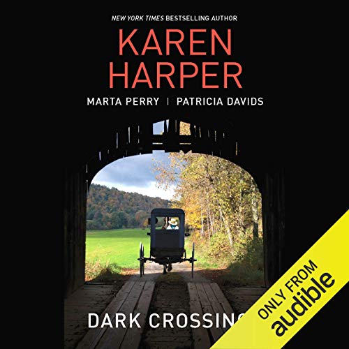 Cover of Dark Crossings