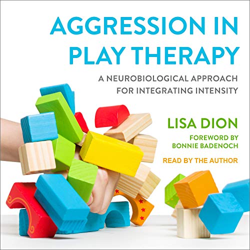 Cover of Aggression in Play Therapy