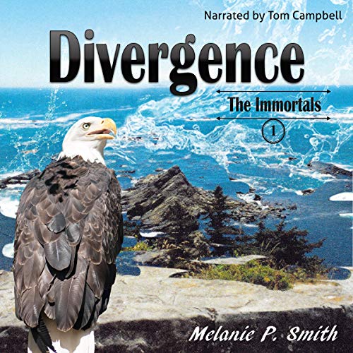 Cover of Divergence