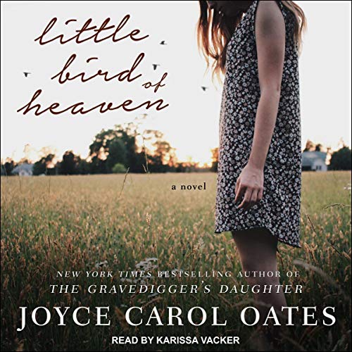 Cover of Little Bird of Heaven