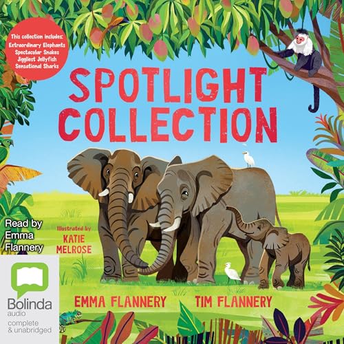 Cover of Spotlight Collection
