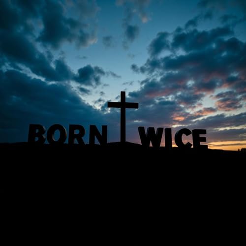 Cover of Borntwice