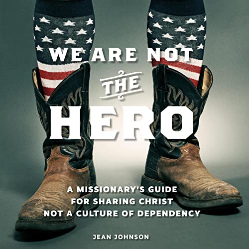 Cover of We Are Not the Hero
