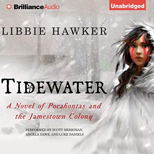 Cover of Tidewater