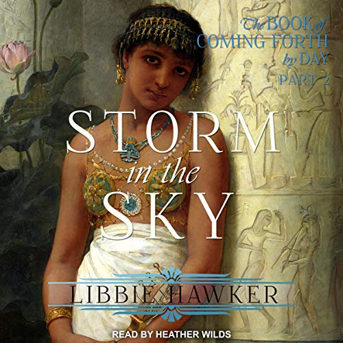Cover of Storm in the Sky