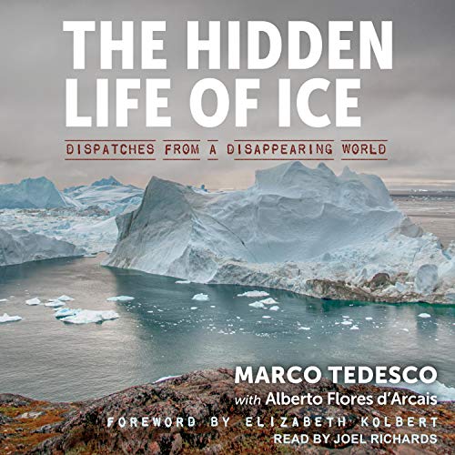 Cover of The Hidden Life of Ice