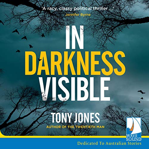 Cover of In Darkness Visible