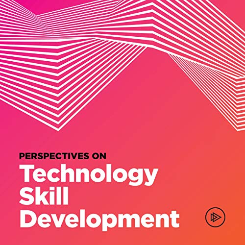 Cover of Perspectives on Technology Skill Development