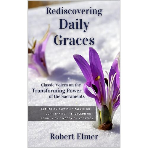 Cover of Rediscovering Daily Graces