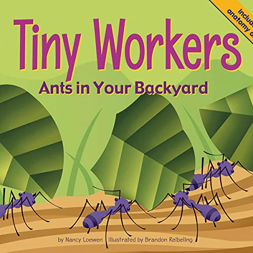 Cover of Tiny Workers