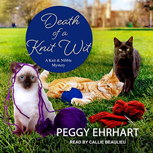 Cover of Death of a Knit Wit