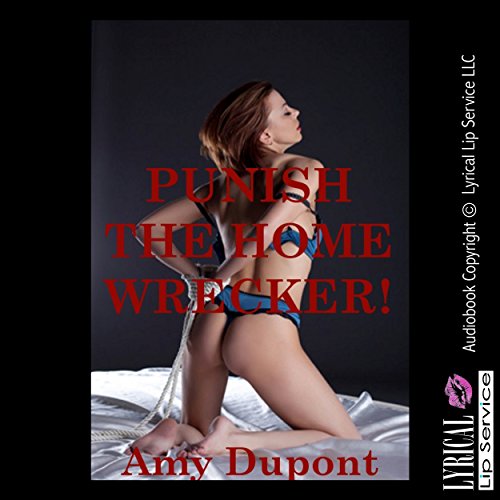 Cover of Punish the Homewrecker