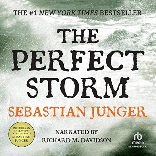 Cover of The Perfect Storm