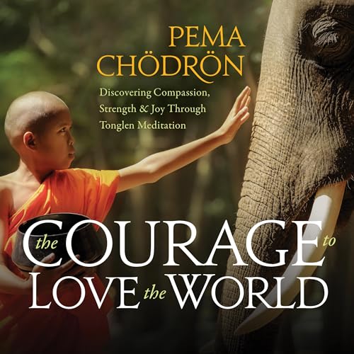 Cover of The Courage to Love the World