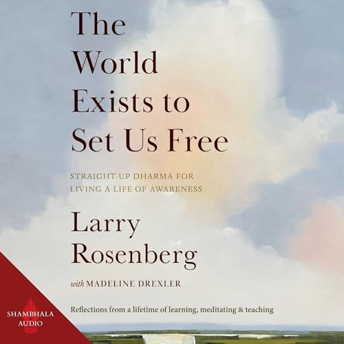 Cover of The World Exists to Set Us Free